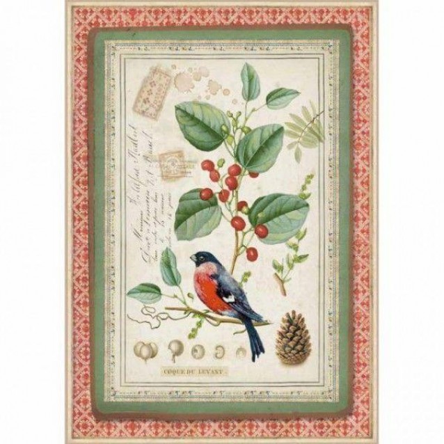 Stamperia Ριζόχαρτο Decoupage A4 (21x29,7cm) Winter Botanic Little Bird On Holly