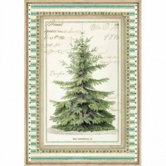 Stamperia Ριζόχαρτο Decoupage A4 (21x29,7cm) Winter Botanic Christmas Tree