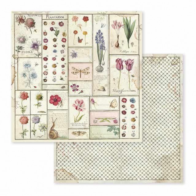 Stamperia Χαρτί Scrapbooking 30,5x30,5cm Διπλής Όψης Spring Botanic Herbarium