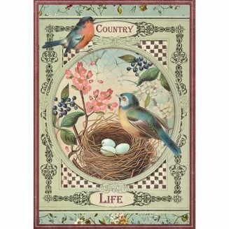 Stamperia Ριζόχαρτο Decoupage A4 (21x29,7cm) Country Life Birds