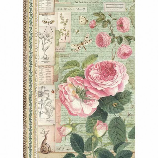 Stamperia Ριζόχαρτο Decoupage A4 (21x29,7cm) Botanic Rose Inglesi Lumachina