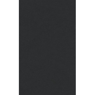 Lana Χαρτί Σχεδίου 160gr 50x65cm Black