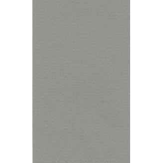 Lana Χαρτί Σχεδίου 160gr 50x65cm Cool Grey