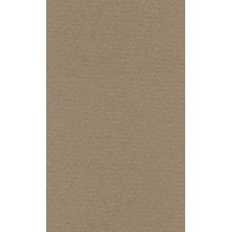 Lana Χαρτί Σχεδίου 160gr 50x65cm Brown