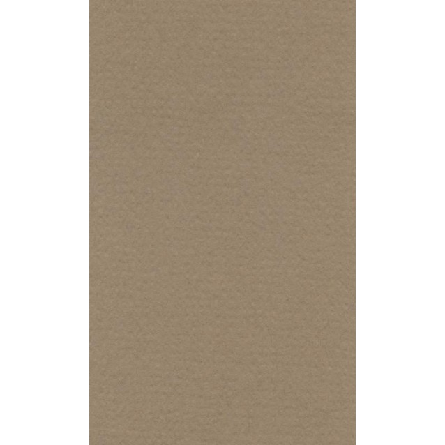 Lana Χαρτί Σχεδίου 160gr 50x65cm Brown