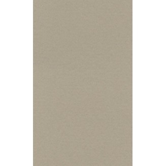 Lana Χαρτί Σχεδίου 160gr 70x100cm Pearl