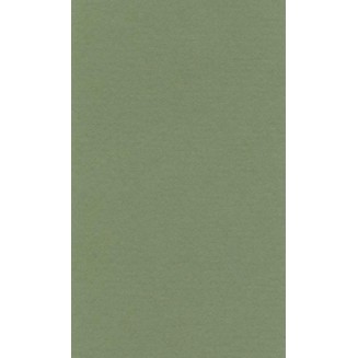 Lana Χαρτί Σχεδίου 160gr A4 (21x29,7cm) Sap Green