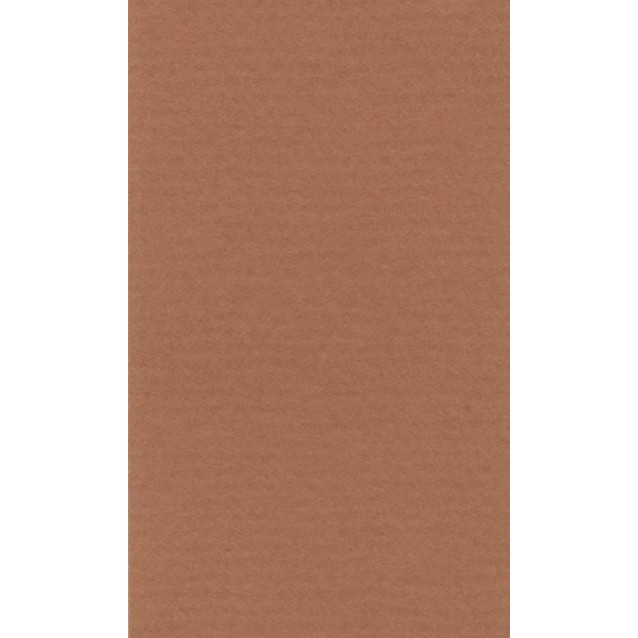 Lana Χαρτί Σχεδίου 160gr A4 (21x29,7cm) Ochre