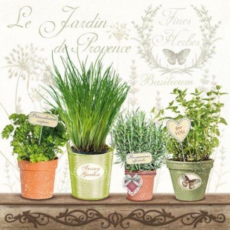 Ambiente 20 Χαρτοπετσέτες 33x33cm 3φύλλες Le Jardin de Provence FSC