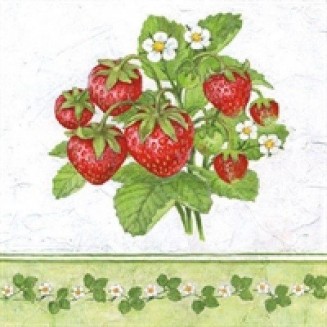 Ambiente 20 Χαρτοπετσέτες 33x33cm 3φύλλες Season Fruit FSC