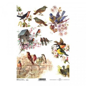 Itd. Collection Ριζόχαρτο Decoupage A4 (21x29,7cm) Different Species of Birds on Branches