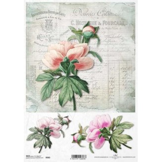 Itd. Collection Ριζόχαρτο Decoupage A4 (21x29,7cm) Flowers – Peony