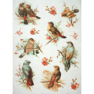 Itd. Collection Ριζόχαρτο Decoupage A4 (21x29,7cm) Bird On A Branch