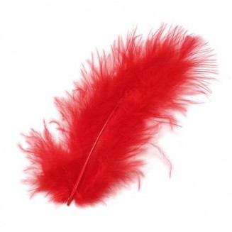 Stafil 15 Φτερά Marabou Κόκκινα 12cm