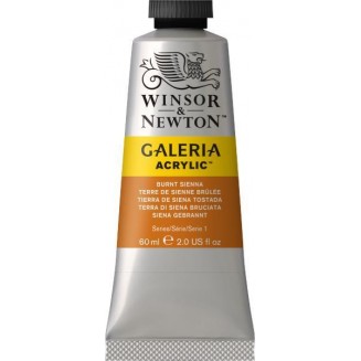 Winsor & Newton 60ml Galeria Acrylic Burnt Sienna