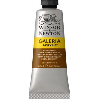 Winsor & Newton 60ml Galeria Acrylic Burnt Umber