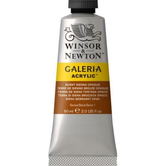 Winsor & Newton 60ml Galeria Acrylic Burnt Sienna Opaque