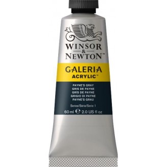 Winsor & Newton 60ml Galeria Acrylic Paynes Grey