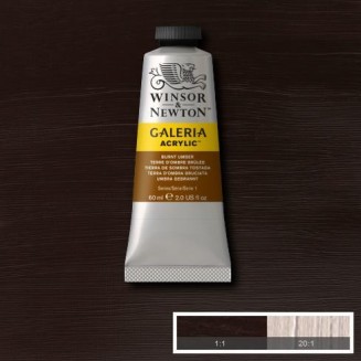 Winsor & Newton 60ml Galeria Acrylic Burnt Umber