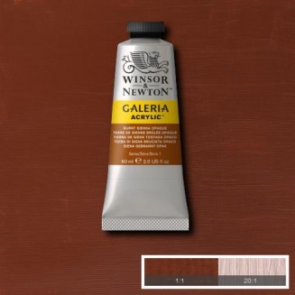 Winsor & Newton 60ml Galeria Acrylic Burnt Sienna Opaque