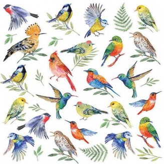 Ambiente 20 Χαρτοπετσέτες 33x33cm 3φύλλες Birds Votes FSC