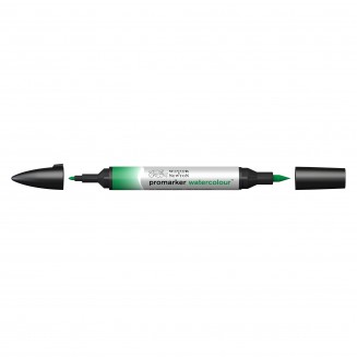 Winsor & Newton Μαρκαδόρος Promarker Watercolour 311 Hookers Green