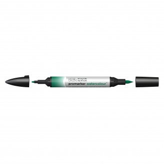 Winsor & Newton Μαρκαδόρος Promarker Watercolour 312 Hookers Green Dark