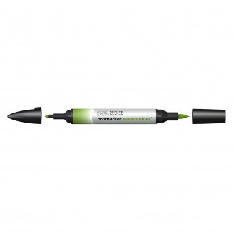 Winsor & Newton Μαρκαδόρος Promarker Watercolour 599 Sap Green