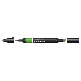 Winsor & Newton Μαρκαδόρος Promarker G356 Forest Green