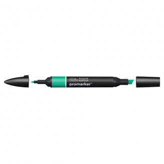 Winsor & Newton Μαρκαδόρος Promarker G847 Green