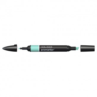 Winsor & Newton Μαρκαδόρος Promarker G817 Soft Green