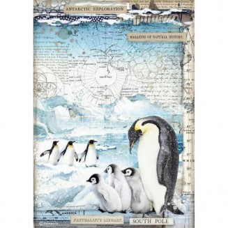 Stamperia Ριζόχαρτο Decoupage A4 (21x29,7cm) Penguins