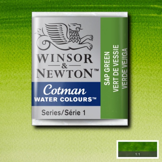 Winsor & Newton Half Pan Ακουαρέλας Cotman 599 Sap Green Series 1