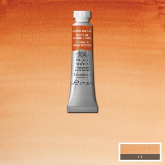 Winsor & Newton 5ml Ακουαρέλας Professional 074 Burnt Sienna Series 1