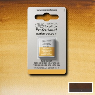 Winsor & Newton Half Pan Ακουαρέλας Professional 554 Raw Umber Series 1