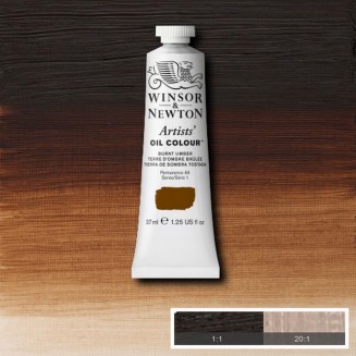 Winsor & Newton 37ml Artists Oil Series 1 Burnt Umber