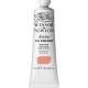 Winsor & Newton 37ml Artists Oil Series 5 Rose Dore