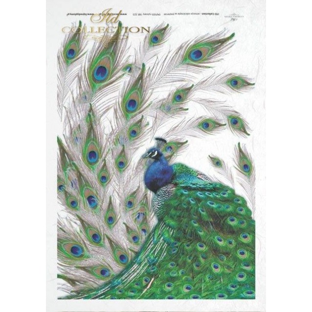 Itd. Collection Ριζόχαρτο Decoupage A4 (21x29,7cm) Peacock With Feathers