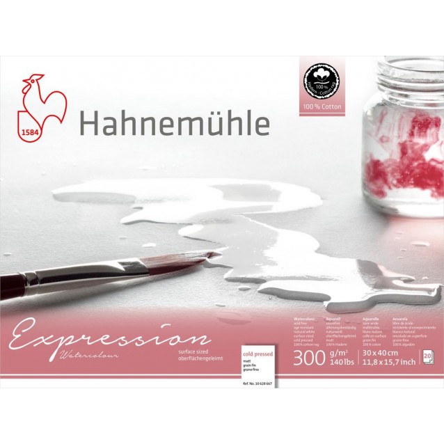 Hahnemuhle Μπλοκ Ακουαρέλας Expression 20 φύλλων 30x40cm 300gr Cold Pressed