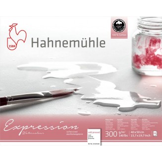 Hahnemuhle Μπλοκ Ακουαρέλας Expression 20 φύλλων 40x50cm 300gr Cold Pressed