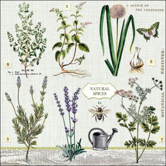 Ambiente 20 Χαρτοπετσέτες 33x33cm 3φύλλες Herbs Garden FSC