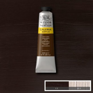 Winsor & Newton 200ml Galeria Acrylic Burnt Umber