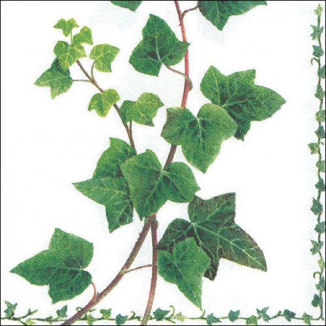 Ambiente 20 Χαρτοπετσέτες 33x33cm 3φύλλες Ivy Tendril FSC