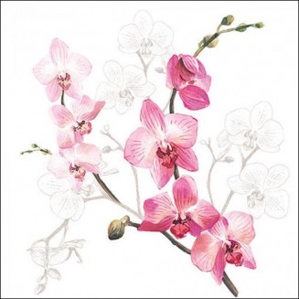 Ambiente 20 Χαρτοπετσέτες 33x33cm 3φύλλες Orchid FSC