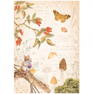 Stamperia Ριζόχαρτο Decoupage A4 (21x29,7cm) Woodland Butterfly