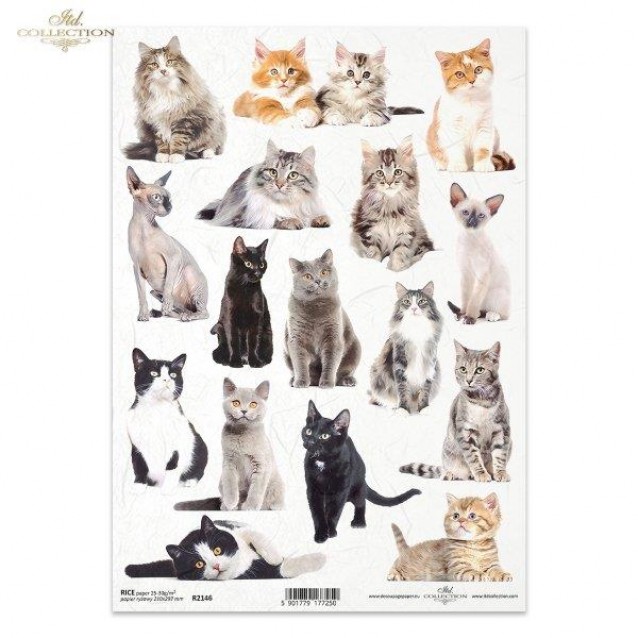 Itd. Collection Ριζόχαρτο Decoupage A4 (21x29,7cm) Cats