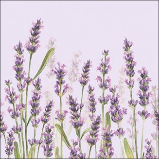 Ambiente 20 Χαρτοπετσέτες 33x33cm 3φύλλες Lavender shades lila FSC