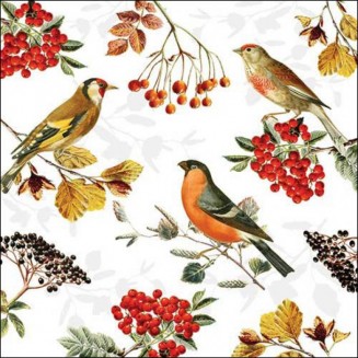 Ambiente 20 Χαρτοπετσέτες 33x33cm 3φύλλες Autumn birds FSC