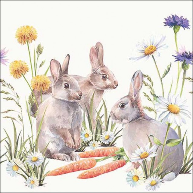 Ambiente 20 Χαρτοπετσέτες 33x33cm 3φύλλες Carrot treat FSC