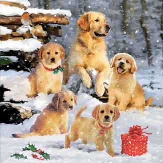 Ambiente 20 Χαρτοπετσέτες 33x33cm 3φύλλες Golden retriever puppies FSC